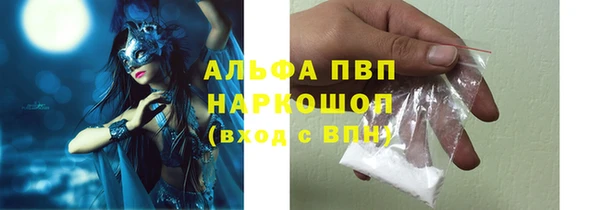 гашик Липки