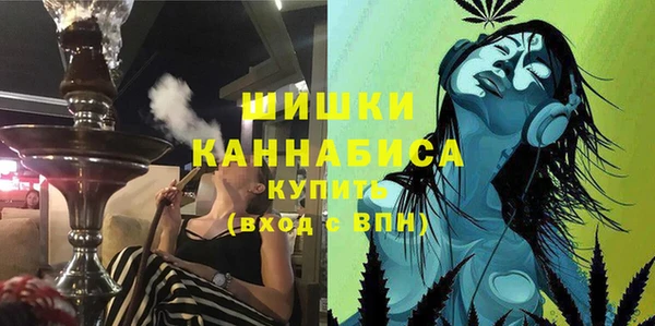 крисы Магадан
