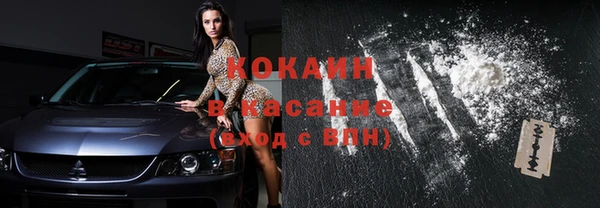 гашик Майский