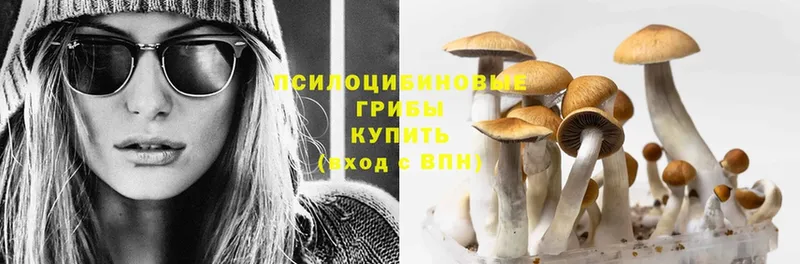 купить  цена  Ершов  Галлюциногенные грибы MAGIC MUSHROOMS 